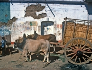 Cart in San Christobal de Las Casas