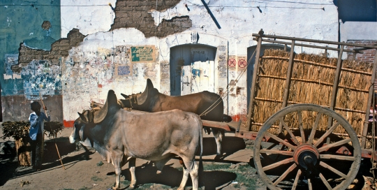 Cart in San Christobal de Las Casas