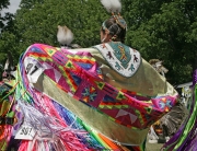 Grand Entry Shawl Dancer