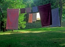 Laundry, Cape Cod