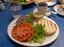 Bison Burger at Skylight Diner, NYC