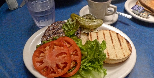 Bison Burger at Skylight Diner, NYC