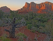 Cathedral Rock