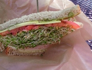 Sedona, AZ Deli Sandwich